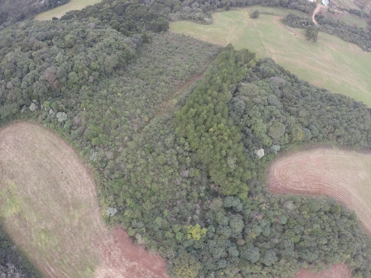 Terreno Rural