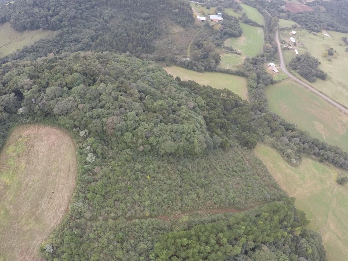 Terreno Rural