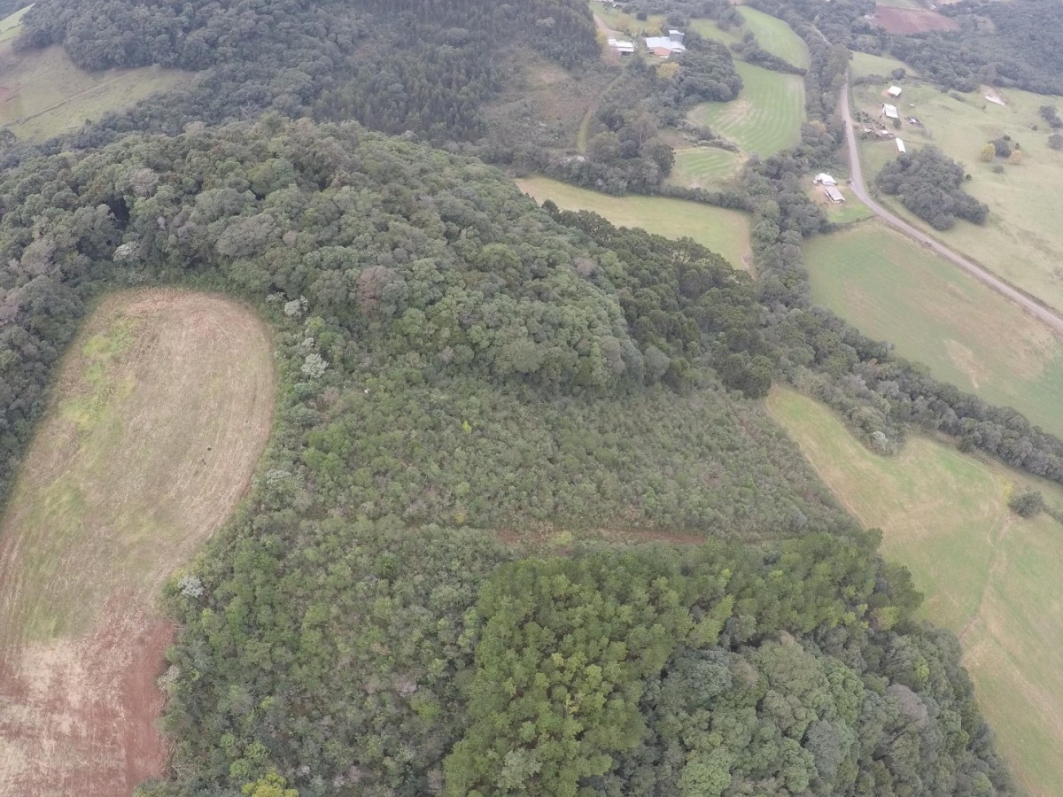 Terreno Rural
