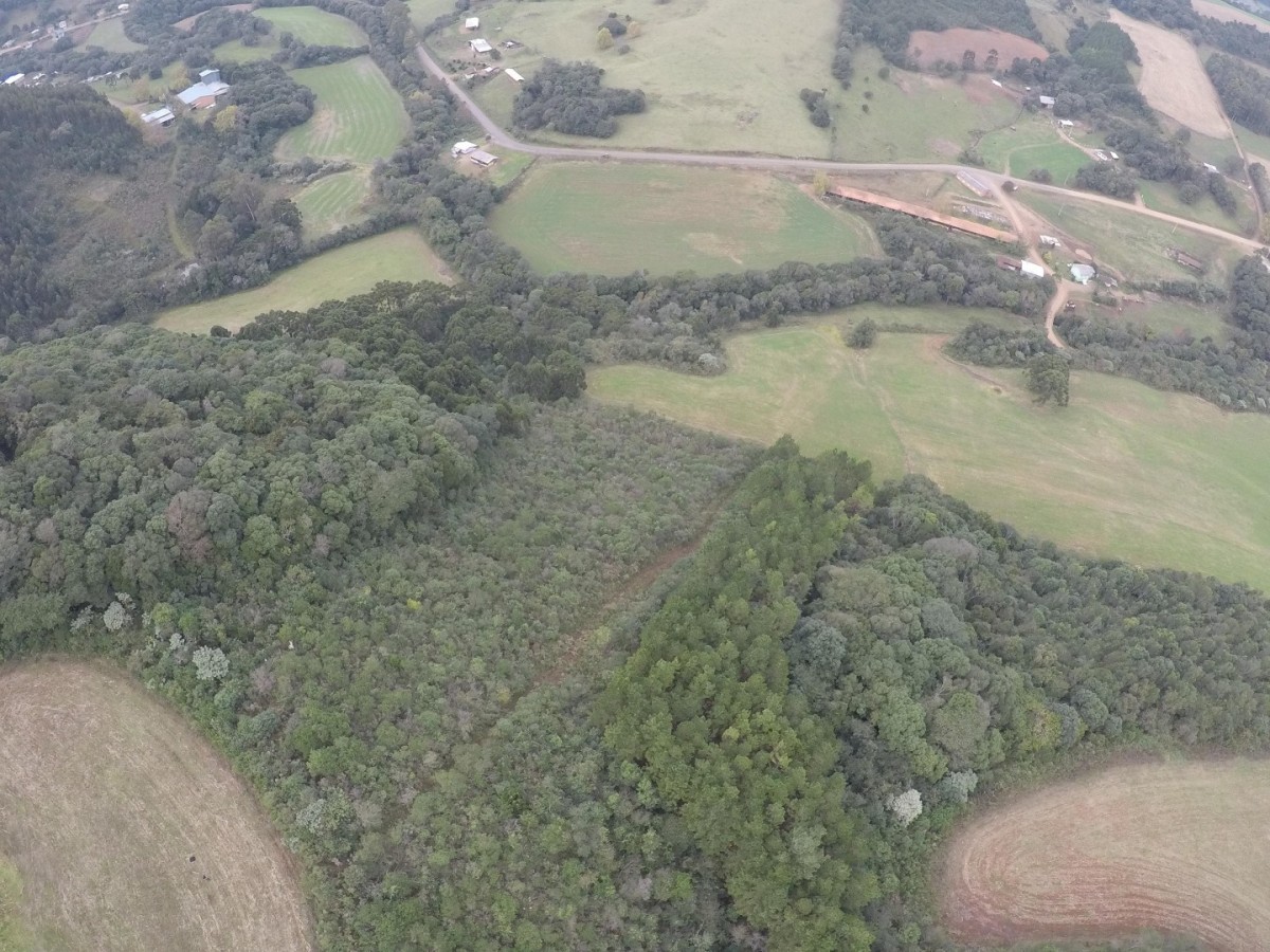 Terreno Rural