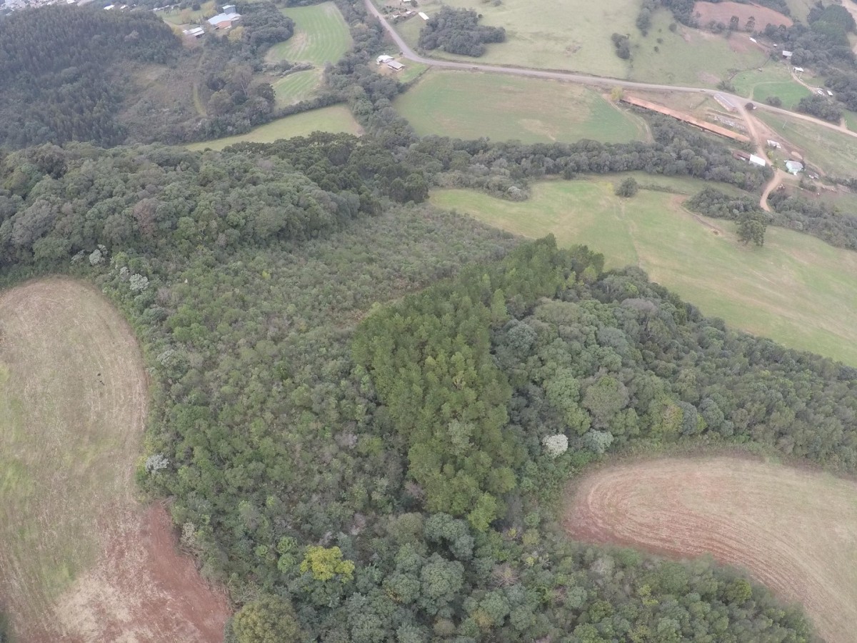 Terreno Rural