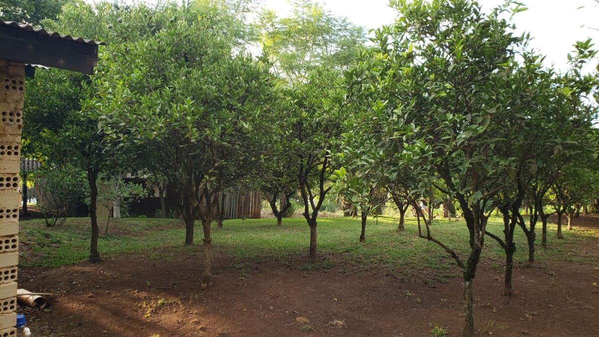 Terreno Rural