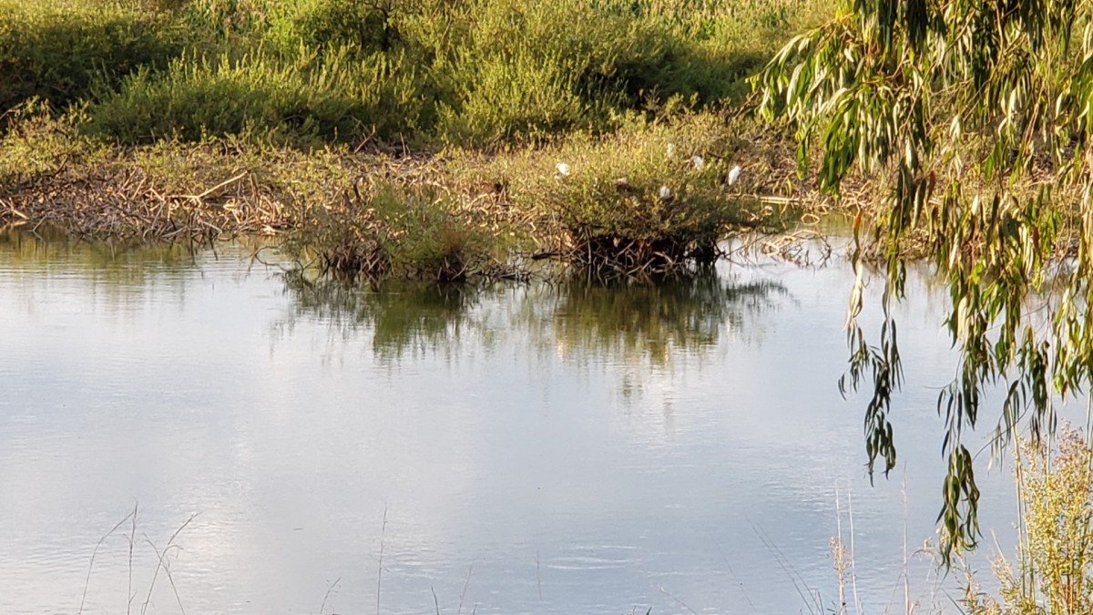 Terreno Rural