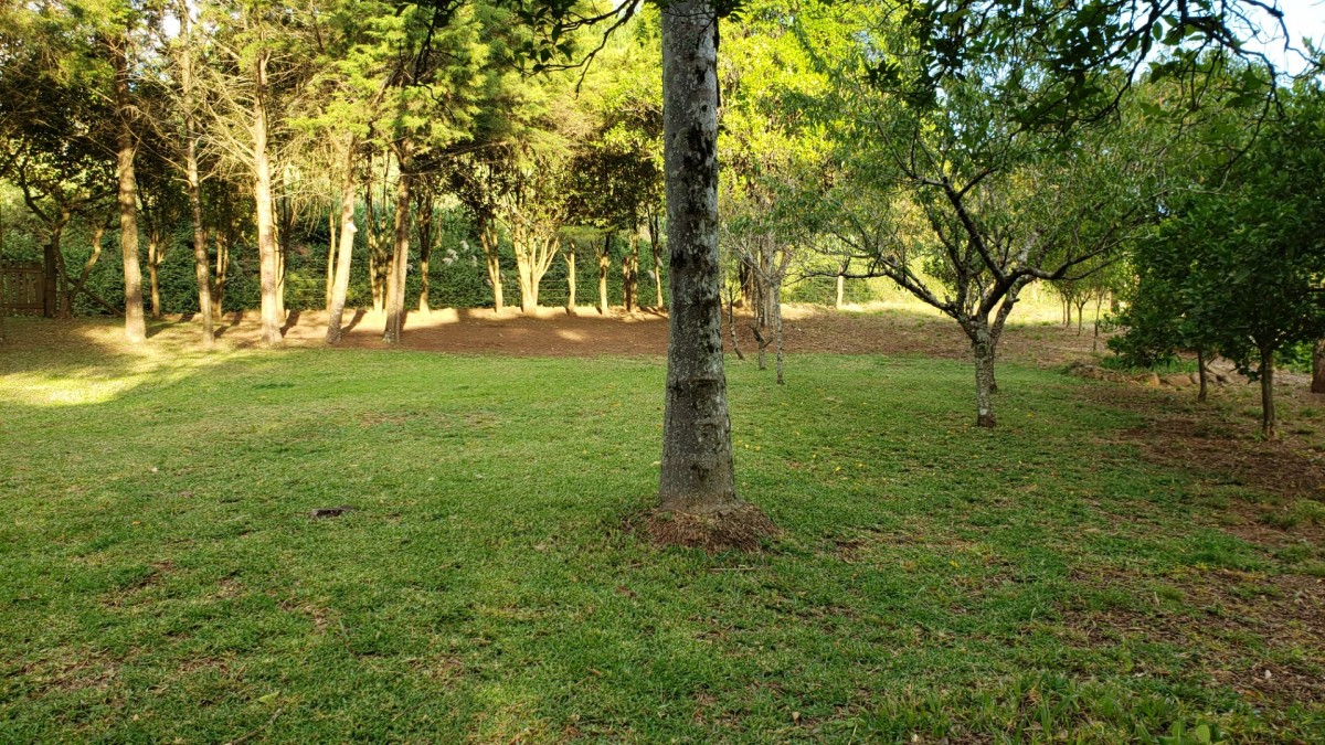 Terreno Rural