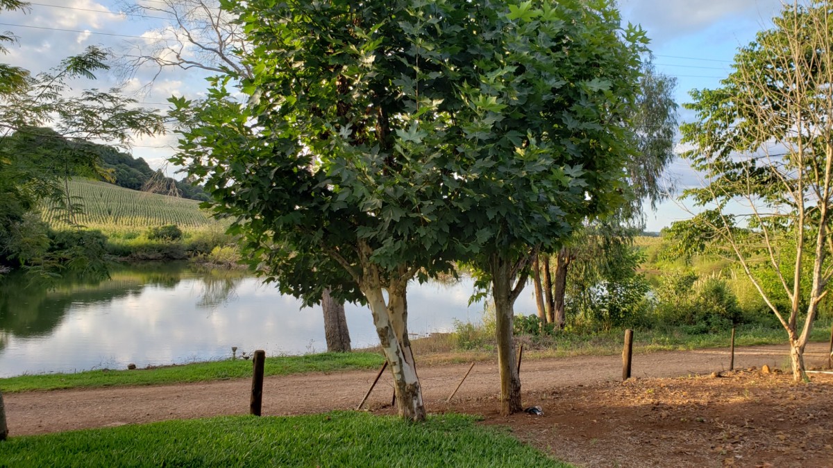 Terreno Rural