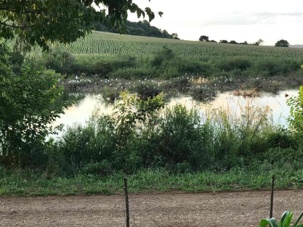 Terreno Rural