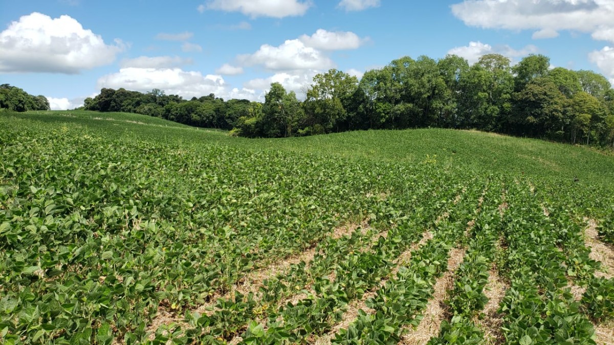 Terreno Rural
