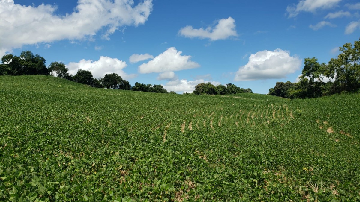 Terreno Rural