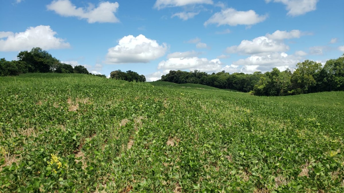 Terreno Rural