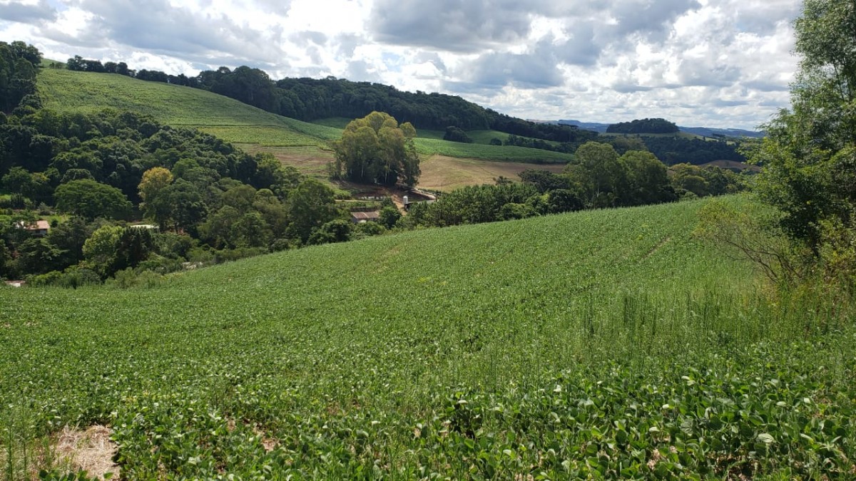 Terreno Rural