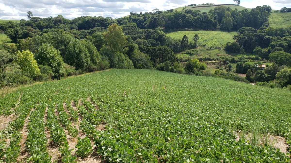 Terreno Rural