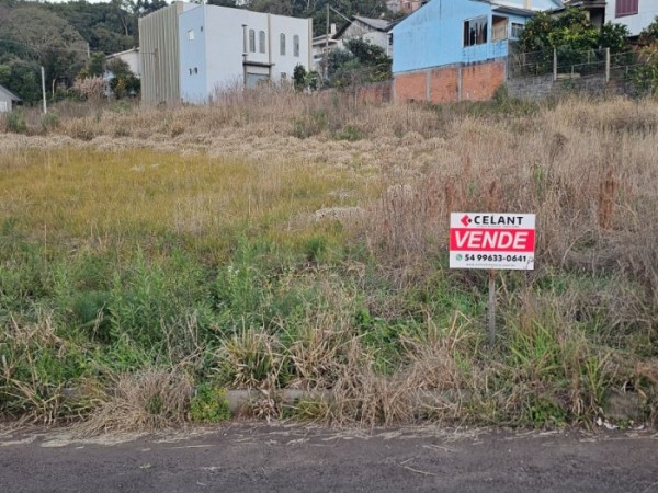 Terreno Urbano
